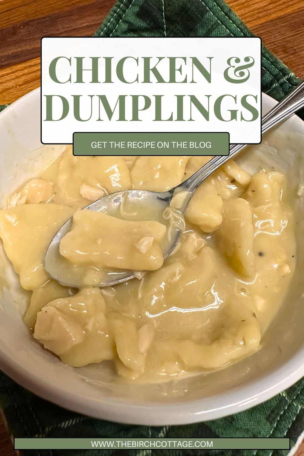 bowl of chicken and dumplings