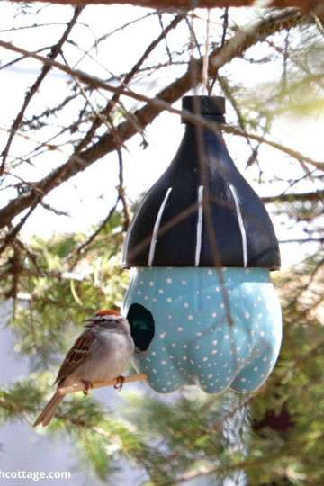 Bird Feeder from Plastic 2-Liter Bottles